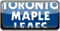 Toronto Mapel Leafs 890980